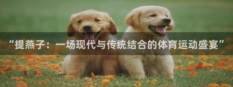 “提燕子：一场现代与传统结合的体育运动盛宴”