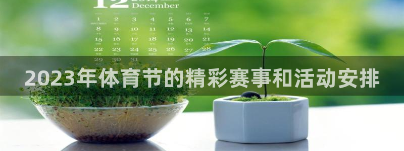 2023年体育节的精彩赛事和活动安排