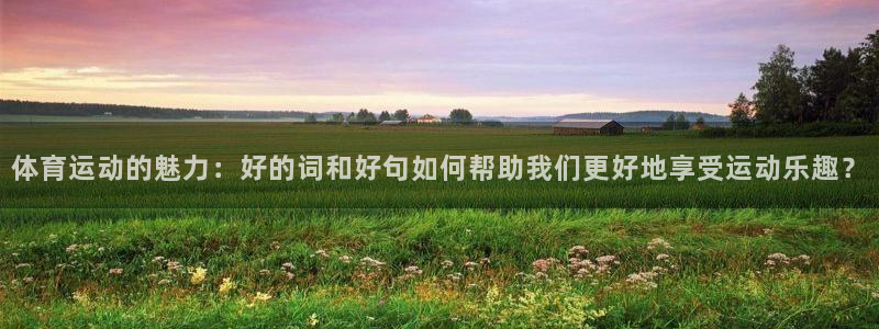 体育运动的魅力：好的词和好句如何帮助我们更好地享受运动乐趣？