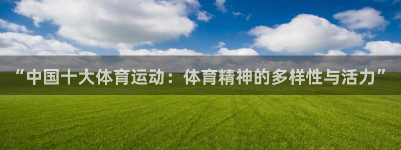 “中国十大体育运动：体育精神的多样性与活力”
